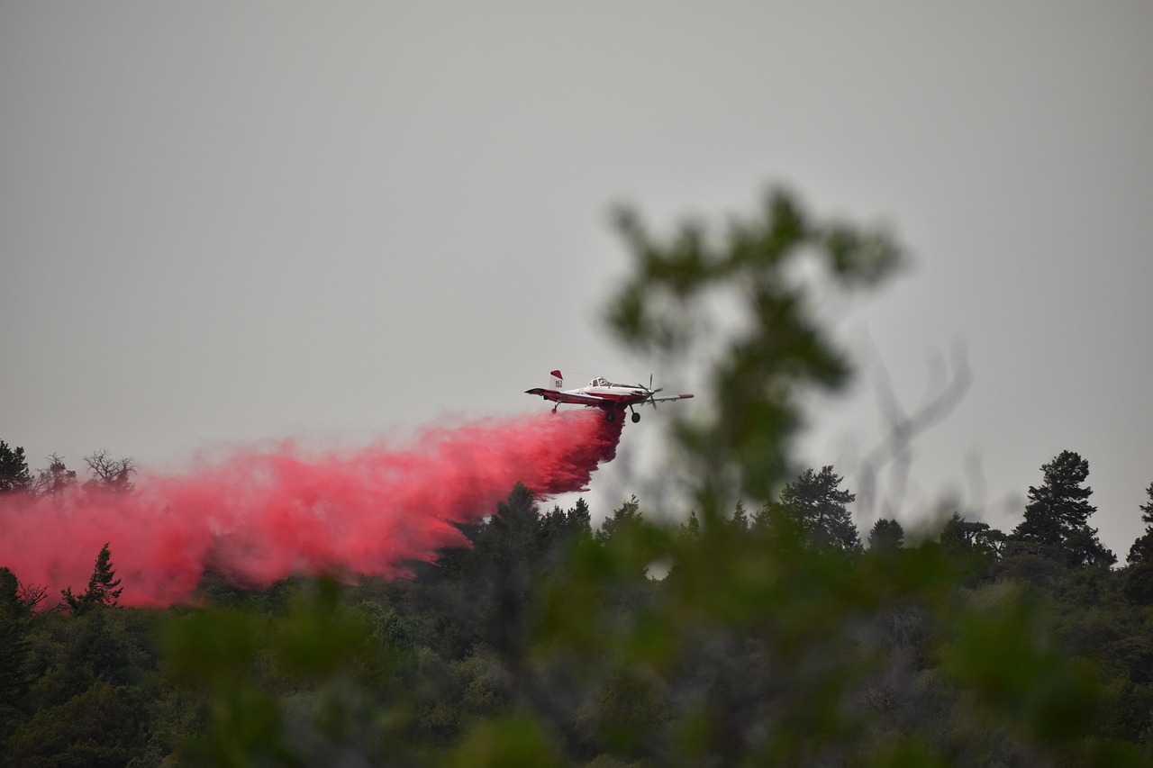 경북 재난지원금 신청