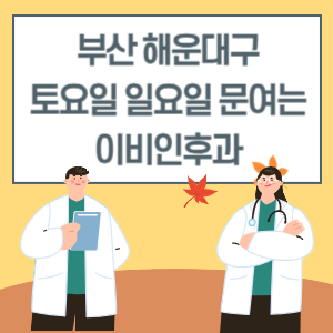 부산 해운대구 토요일 일요일 이비인후과 진료 병원 리스트