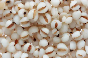 율무 효능 및 영양성분, 부작용