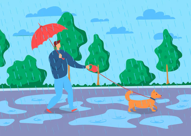 강아지 장마철 건강 관리 이미지