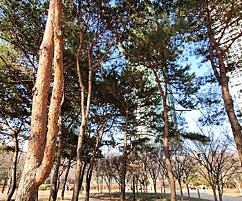팔다리-저림-원인-치료-스트레스
