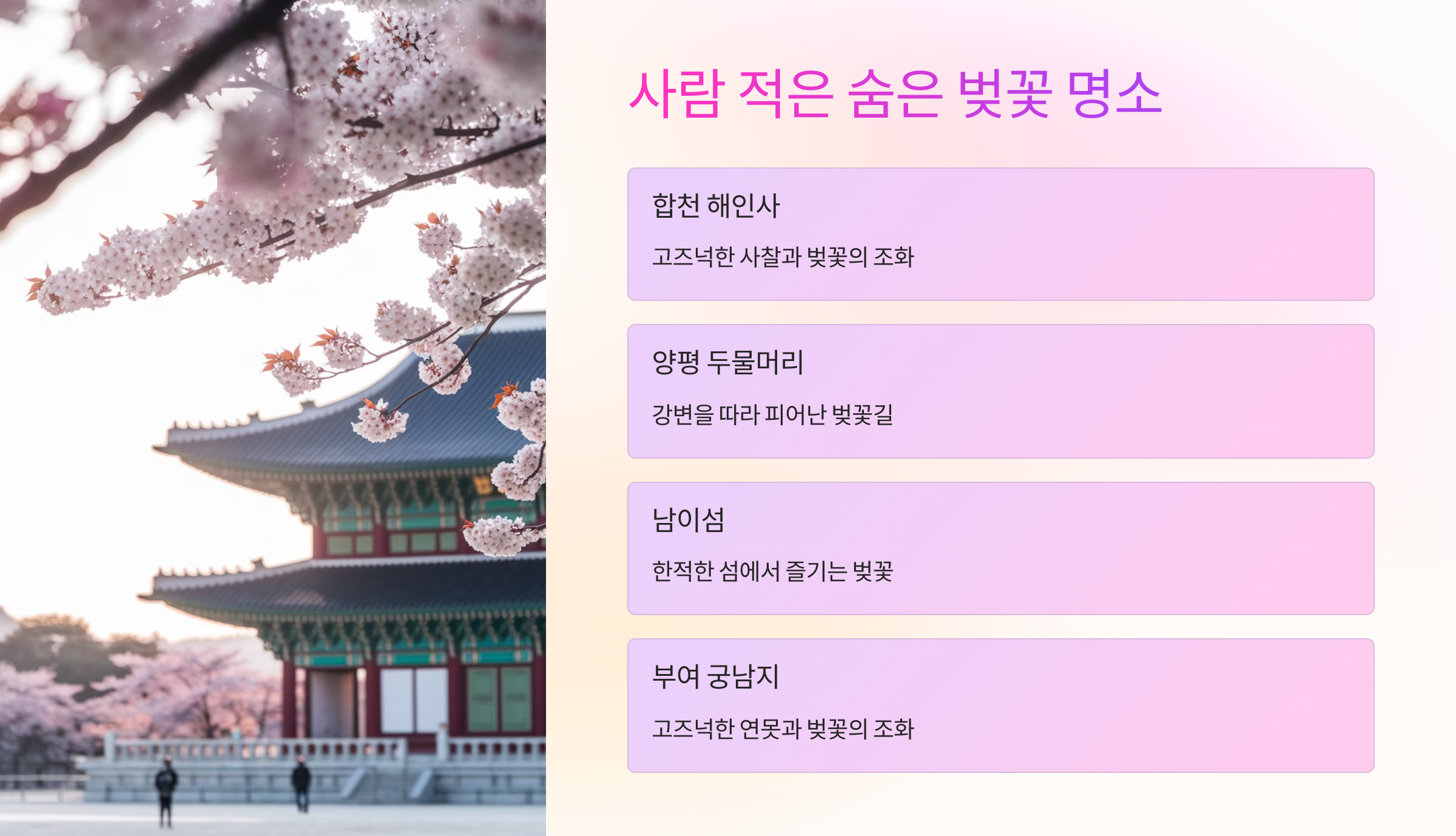 🌿 사람 적은 숨은 벚꽃 명소