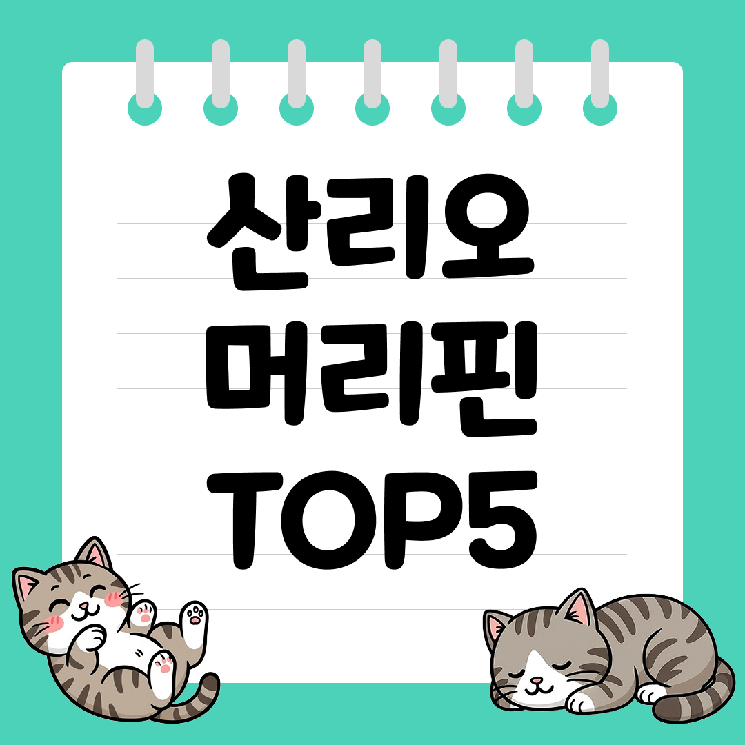 머리 스타일에 포인트 주기 좋은 산리오 머리핀 추천 순위 TOP5