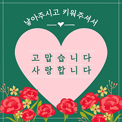 어버이날 선물