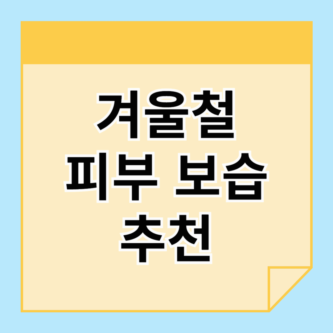 건조한 겨울철, 실내 습도와 피부 보습을 동시에! 아이템 추천!