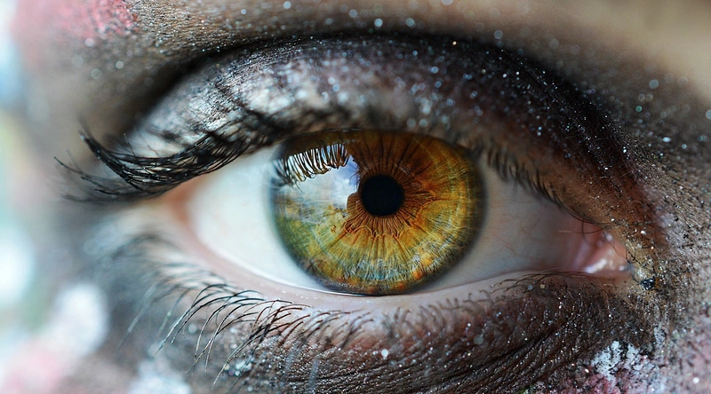 1. 건설현장의 직업군 개요