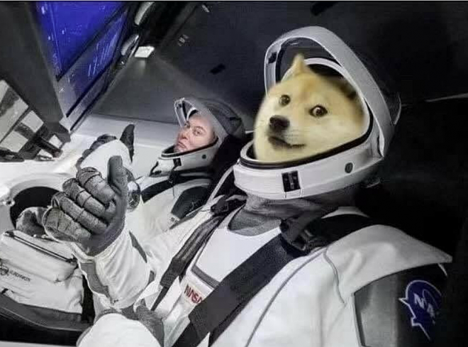 도지(doge)코인 전망 일론머스크