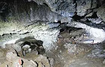 제주어음리빌레못동굴