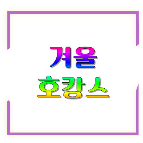 겨울 호캉스: 추운 날엔 호텔 안에서 제일 따뜻하게 쉬는 방법