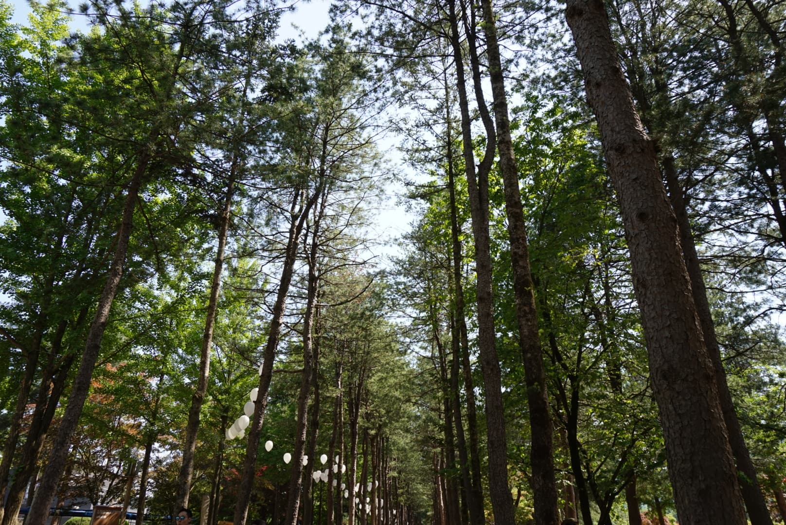 2025 수도권 근교 당일치기 여행 추천 힐링 스팟