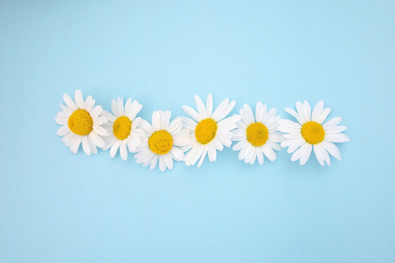 교육 콘텐츠 제작자를 위한 저작권 가이드 (강사, 온라인강의, 자료보호)