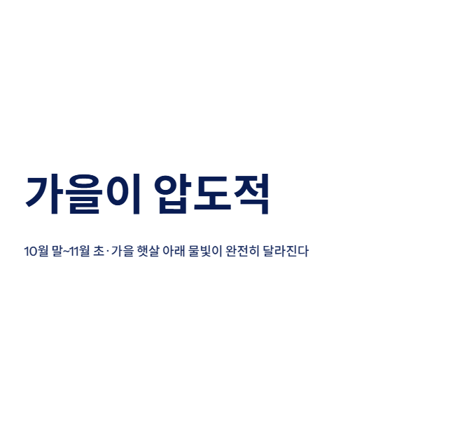 여수 근교 산책 달리기 트레킹 코스 추천 | 바다와 숲을 동시에 즐기는 방법