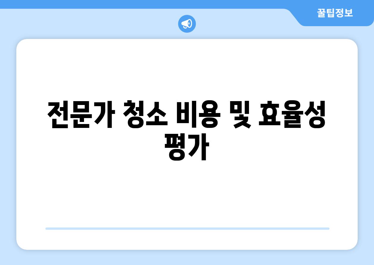전문가 청소 비용 및 효율성 평가