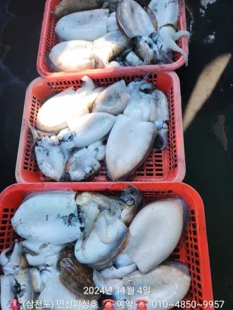 갑오징어 제철 시기 요리 레시피 황금레시피_27