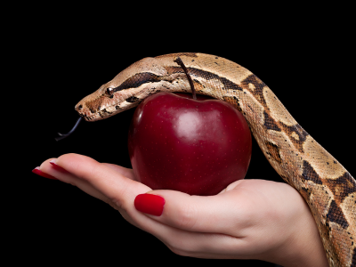 뱀꿈 로또 당첨 의미 꿈해몽 해석