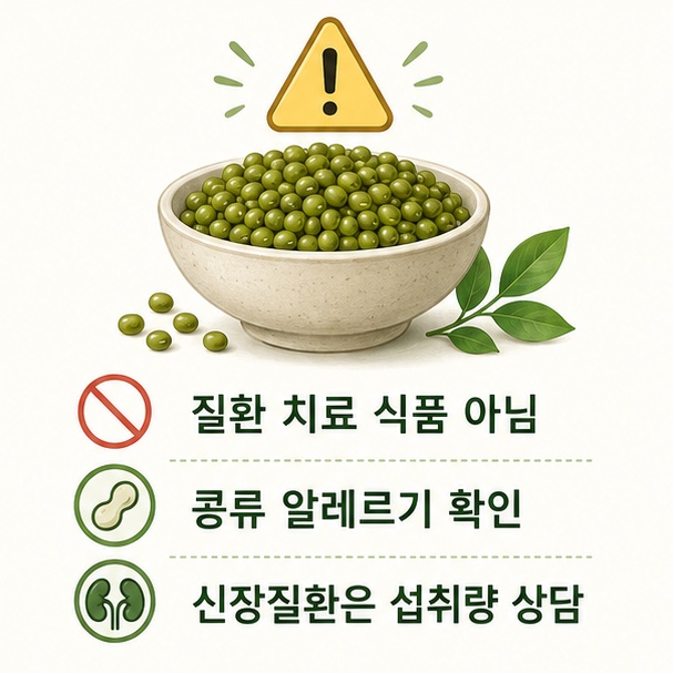 녹두는 질환 치료용 식품이 아니며 콩류 알레르기와 개인별 식이 제한을 확인해야 함을 보여주는 그림