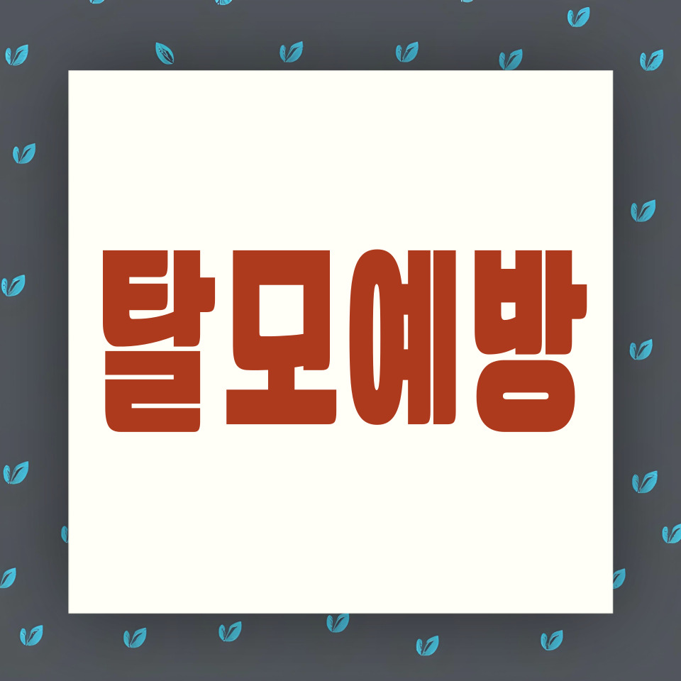 탈모 예방 카드뉴스