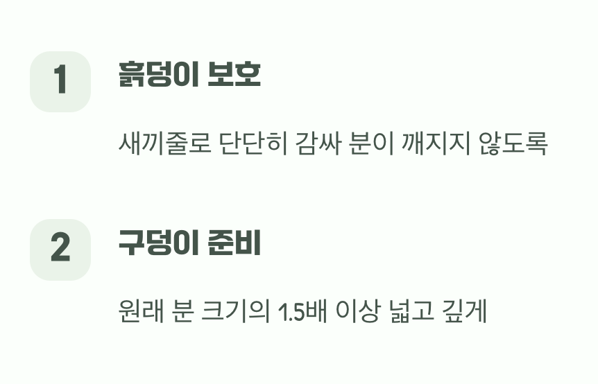 상처를 최소화하는 이사의 기술