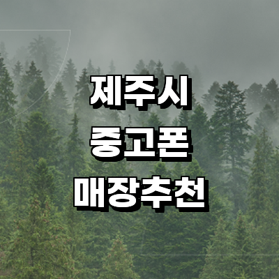제주 제주시 중고폰
