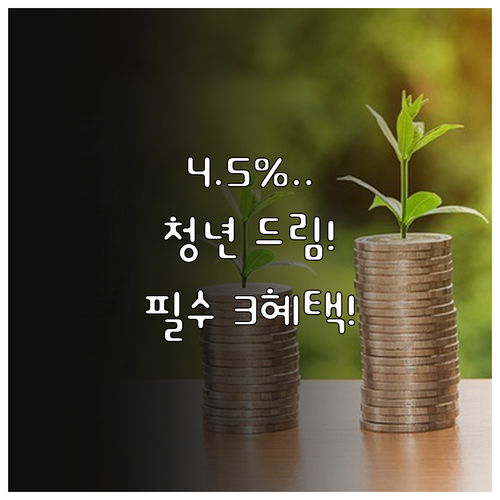 최고 4.5% 청년 주택드림 전환 N..