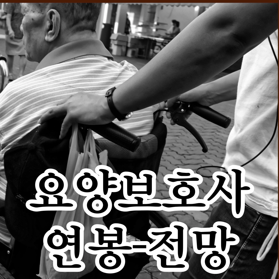 요양보호사 연봉-전망