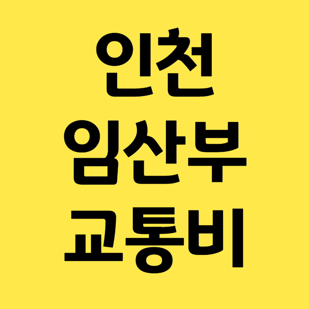 인천 출생지원 천사지원ㄱ므 임산부 교통비