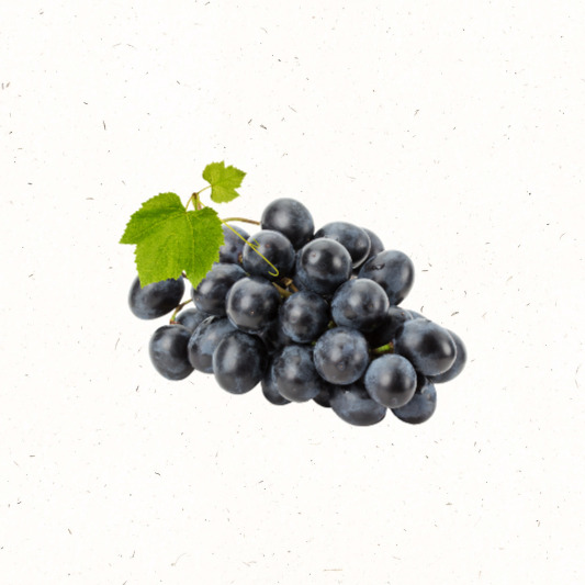 캠벨 포도 송이, 푸른 자루와 하얀 과분이 보이는 신선함