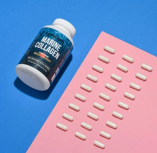 연골 콜라겐 추천