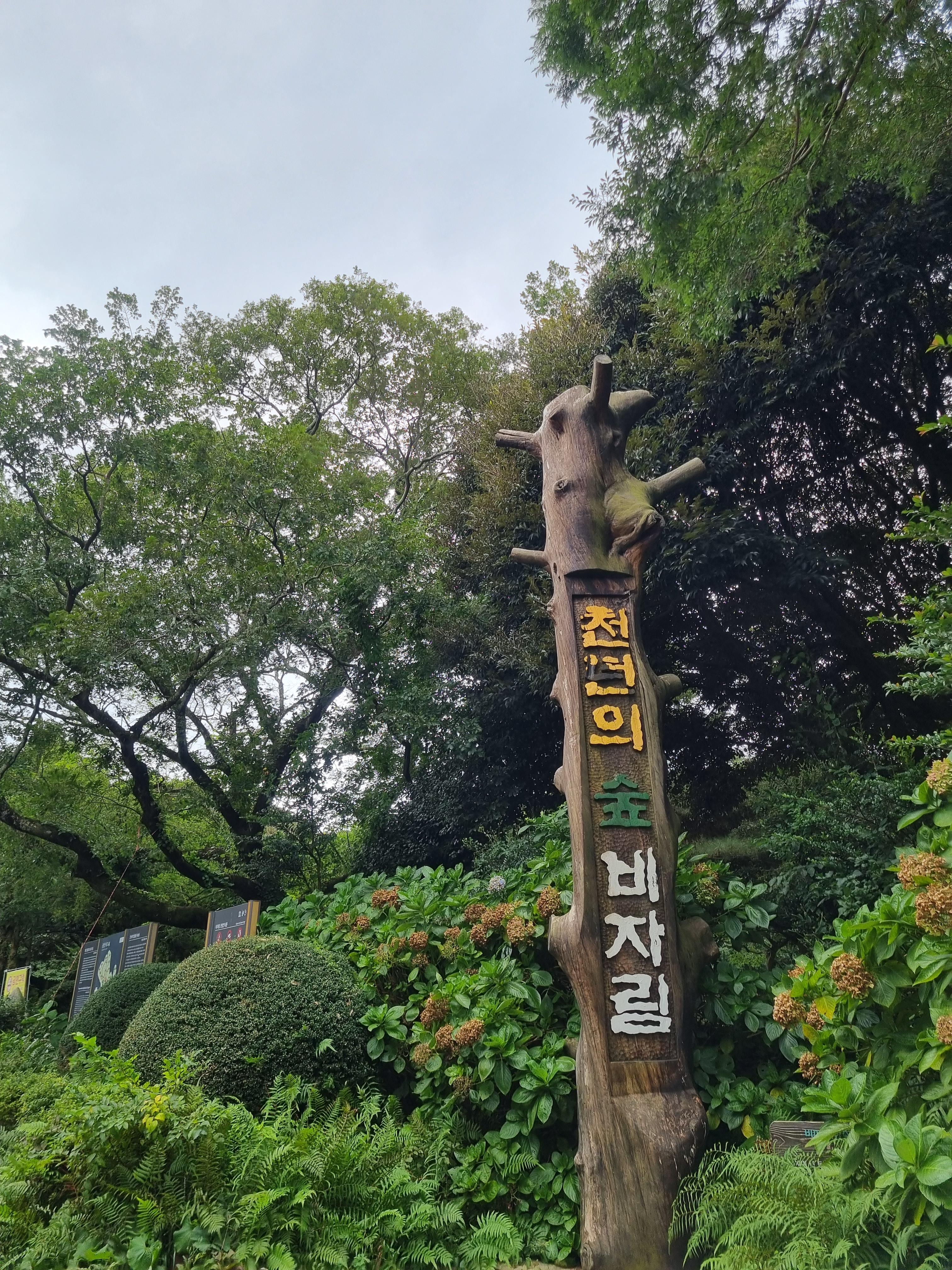 비자림