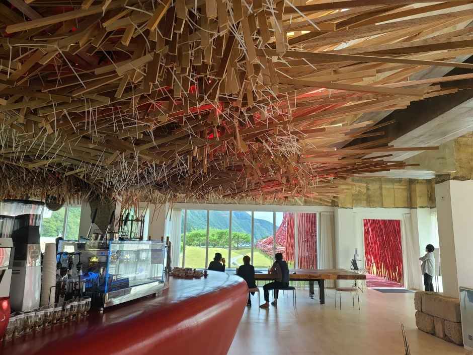 젊은달와이파크