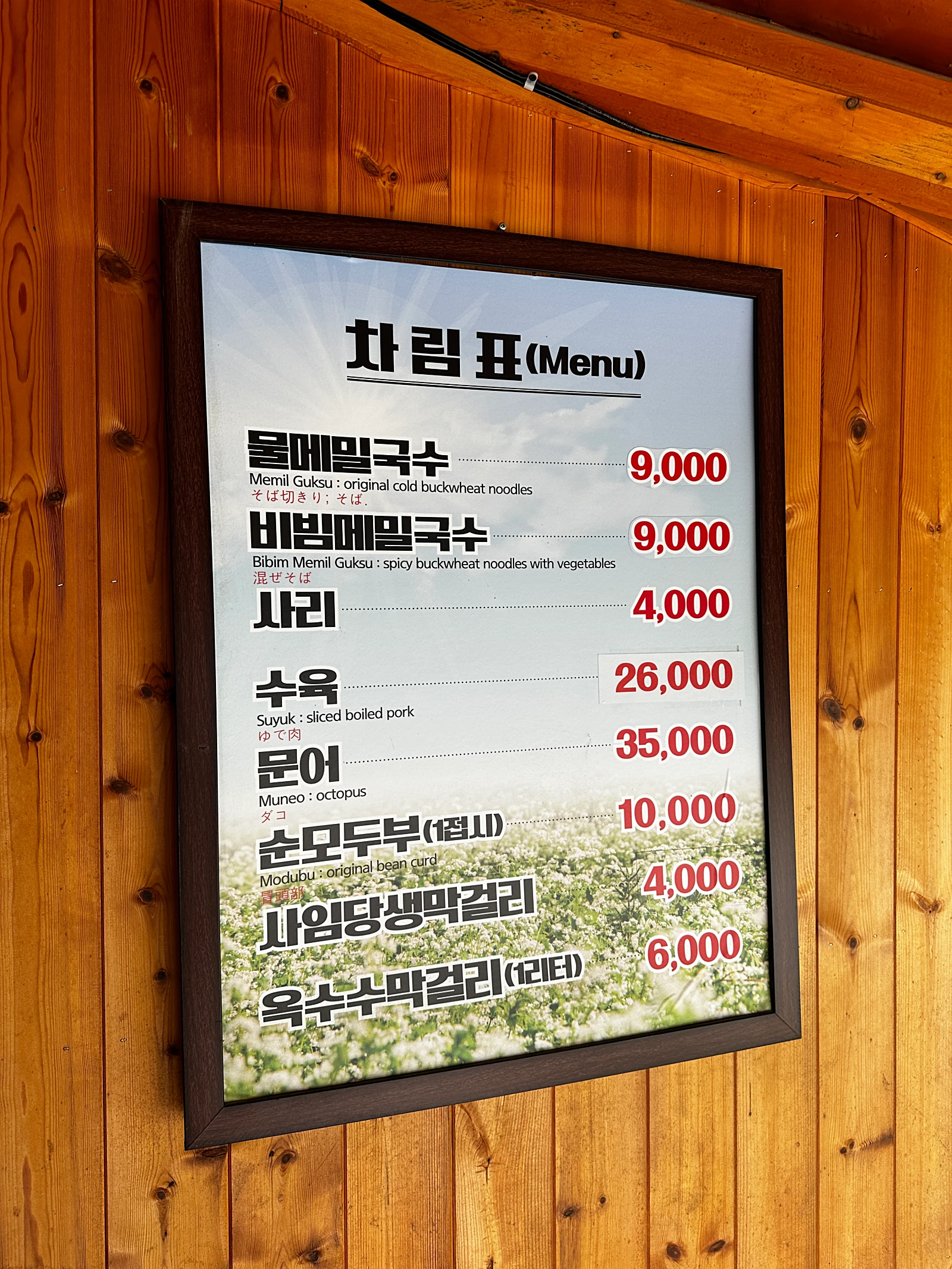양양 송월메밀국수 메뉴