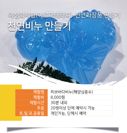 천연비누만들기 