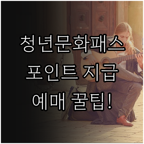 청년문화예술패스 포인트 지급 과정과 ..