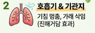 머위 효능