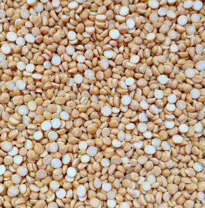 카무트 효소 효능 및 먹는법 총정리