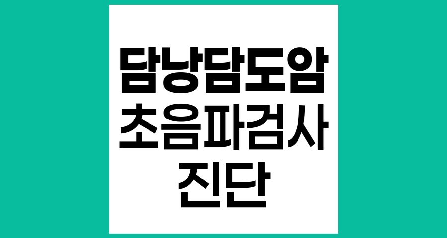 담낭담도암 진단에서 초음파검사의 역할과 특징