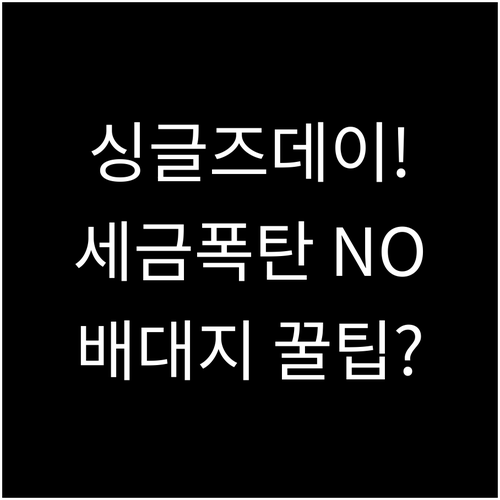 물류 폭증 싱글즈데이 통관 합산과세 ..