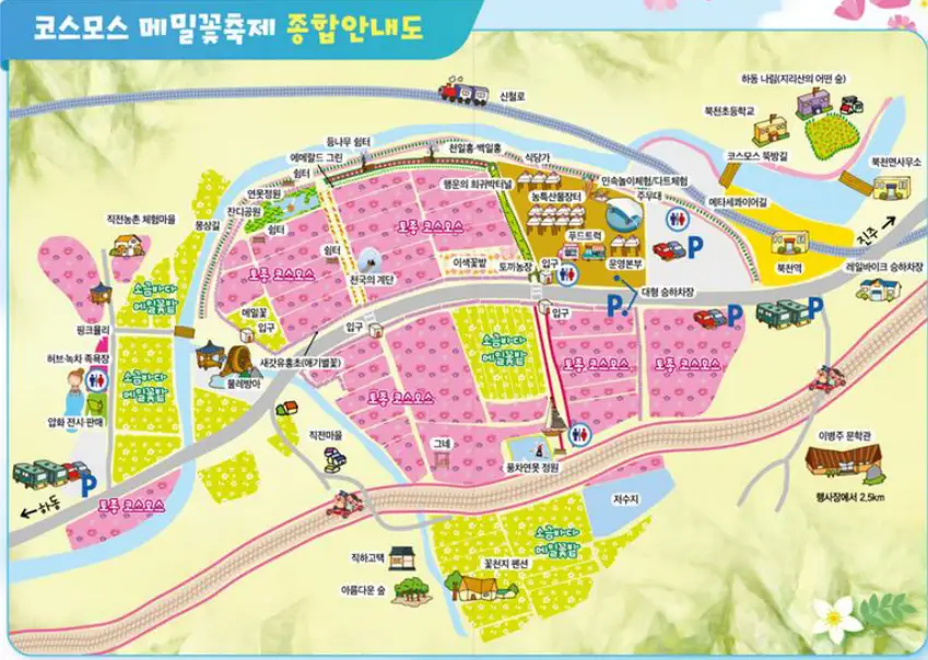 2025 하동 북천 코스모스 메밀꽃 축제 일정 공연 및 체험 프로그램