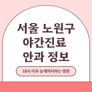 서울 노원구 야간진료 안과 병원 (18시 이후 늦게까지하는 병원)