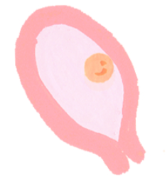 임신 4주