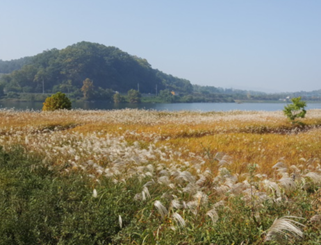 충주 가볼만한곳 베스트10