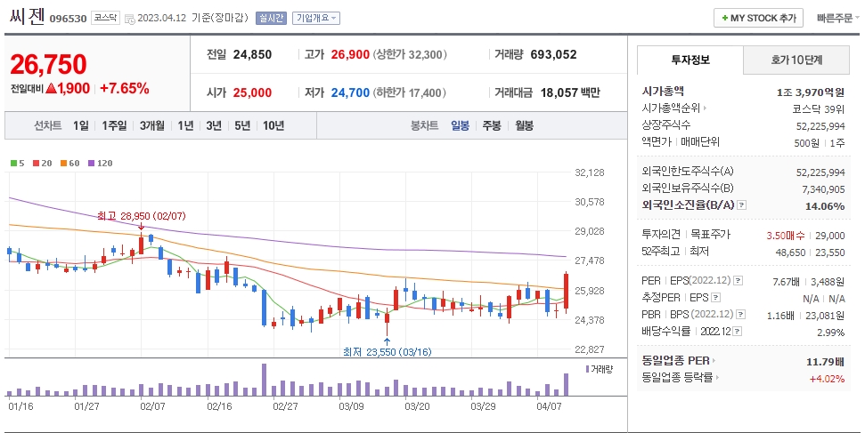 씨젠 일봉차트