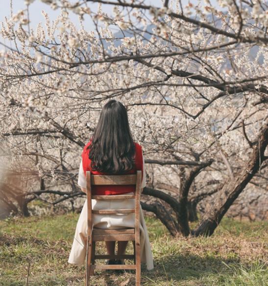 2025 광양매화축제 총정리17
