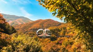 화담숲 모노레일