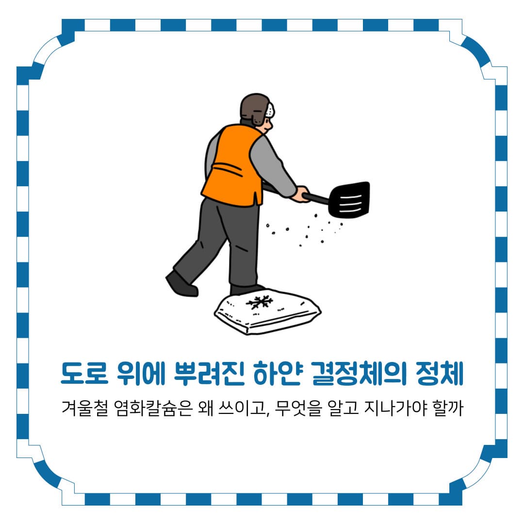 도로 위에 뿌려진 하얀 결정체의 정체
겨울철 염화칼슘은 왜 쓰이고, 무엇을 알고 지나가야 할까
