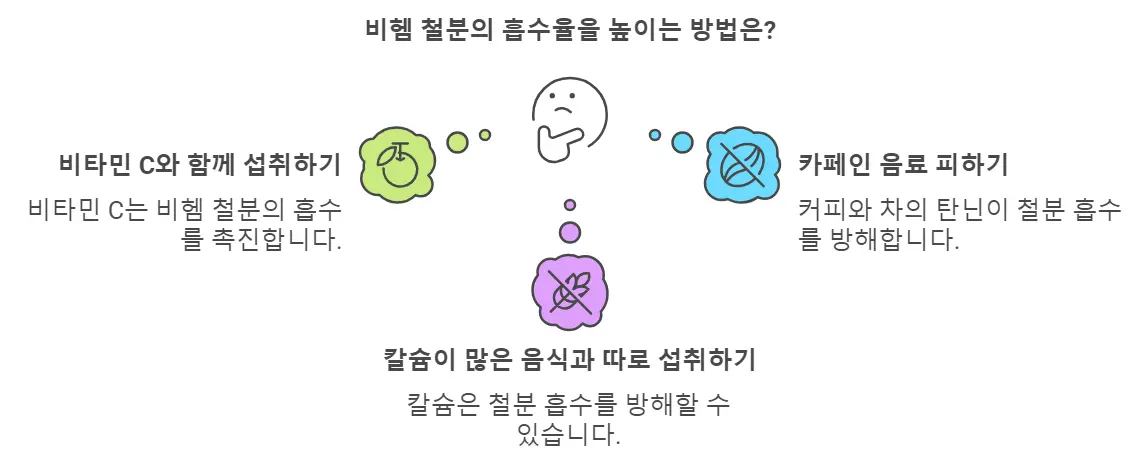 철분 흡수율 높이는 방법