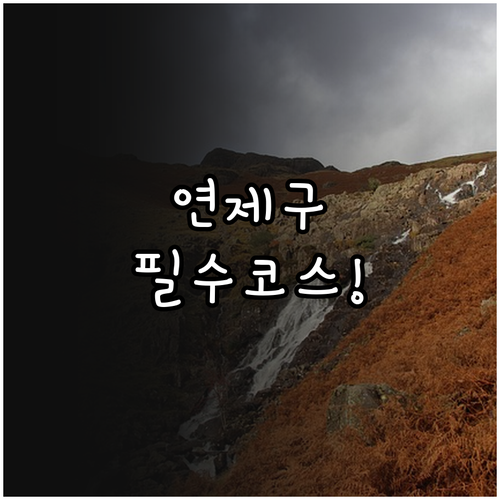 1월 부산 연제구 가볼만한곳 명소 5..