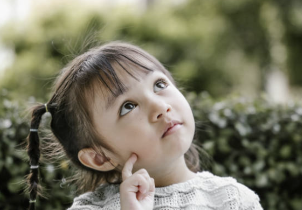 집 안에서 허용된 질문의 범위