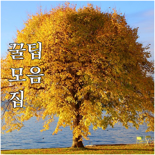 2025 서울교육청 학교밖청소년 활동..