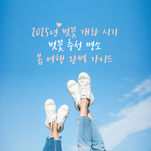 2025년 벚꽃 개화 시기는 언제? 봄여행 추천 벚꽃 명소 완벽 가이드